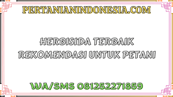 Herbisida Terbaik Rekomendasi Untuk Petani
